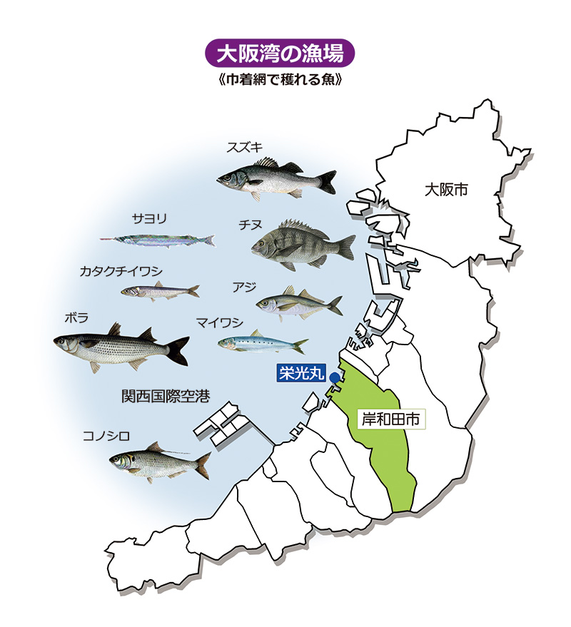 栄光丸水産株式会社 大阪湾の獲れたての魚を 独自の技術とスピードで新鮮な状態でお届けしています お客様に喜ばれる理由